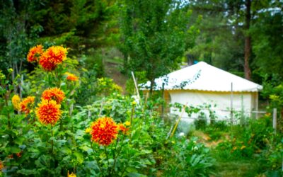 Questionnaire de satisfaction