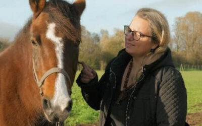 Equi-coaching